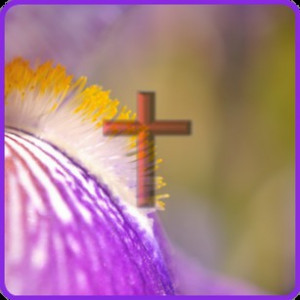 perfect christian quotes is a free android application brought to you ...