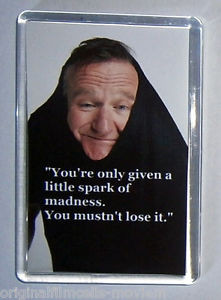 about Robin Williams Quote movie poster fridge magnet New - Jumanji ...