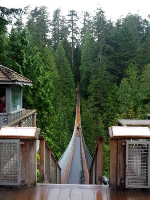scenic view capilano suspension bridge