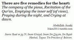 Islamic Quotes More