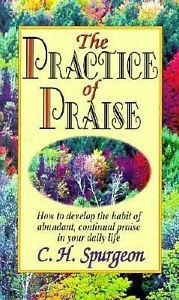 Wonderful book about the importance of praise. When we are praising ...