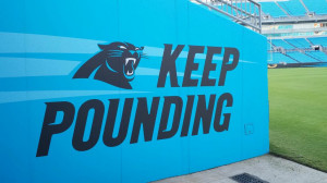 2014 carolina panthers keep pounding