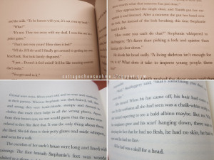 The second book: Skulduggery Pleasant: Playing with Fire