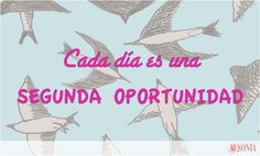 cada día una nueva # oportunidad # fraserosa # quote more oportunidad ...