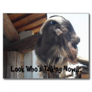 Look Who's Talking Now... Post Cards