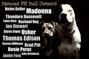 Pitbull Quotes Famous pitbull owners