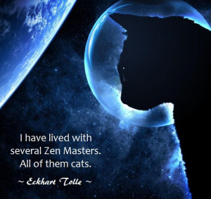 have lived with with several Zen Masters. All of them cats.”