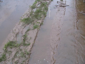 Thread: Got a freezer trophy and some video