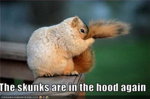 Funny Skunks