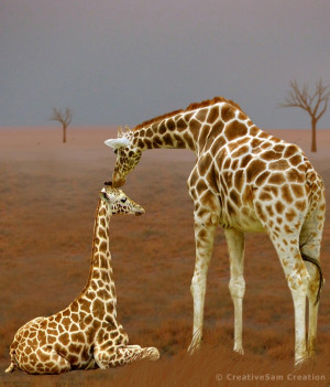 Found on ldsnana-askmormon.hubpages.com