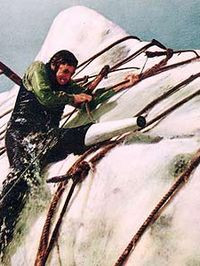 God forgive you, Captain Ahab.