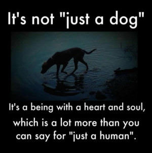 Pinned by Lori Valverde