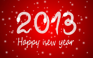 ... had a safe and fun New Year’s Eve and wish you all the best in 2013