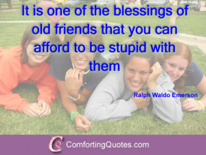 Being Stupid with Friends Quotes