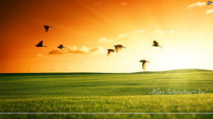 THE INDEPENDENCE DAY