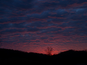 Uploaded to Pinterest