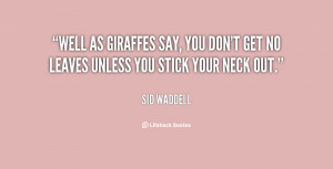 Well as giraffes say, you don't get no leaves unless you stick your ...