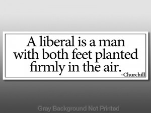 Details about Churchill Anti Liberal Quote Sticker - no obama tea GOP