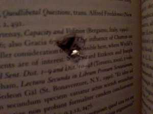 Florida State University Student's Books Saved His Life