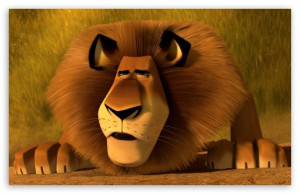 Madagascar Lion Alex Wallpaper