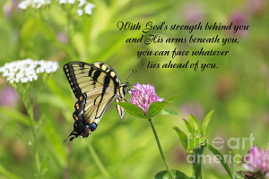 Butterfly With Religious Quote Print by Jill Lang
