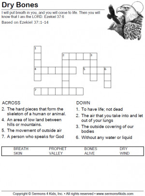 Muscular System Crossword Puzzle