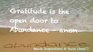 Gratitude is the open door to abundance.