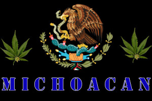 photo MichoacanWeed.jpg