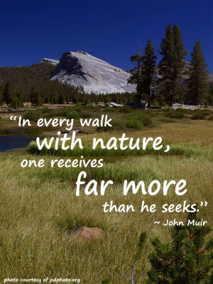 ... walk with nature one receives far more than he seeks. ~ John Muir