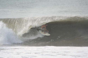 Welcome to Marilyn Lee's website.