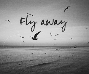 Let me be free, free to fly away!