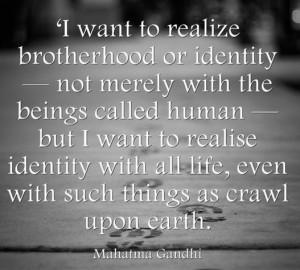 Gandhi and #Brotherhood #Quote