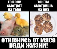 Всякие существа имеют равное право на ...