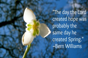 spring quotes 6