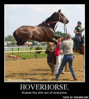hover-horse.jpg