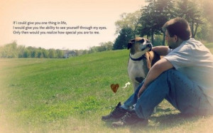 Some Imperative Life Quotes