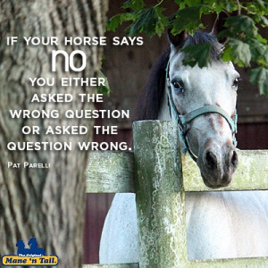 to my horse find out what your horse is telling you http ...