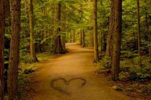 Discovering the Path That Leads to a Deeper Love