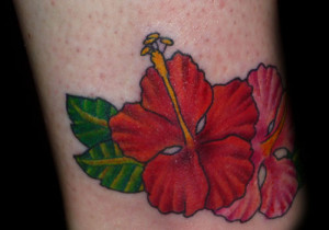 red hibiscus flower is a symbol of Love, passion and desire.
