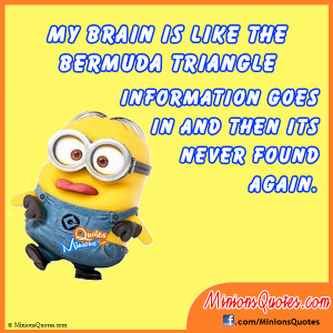 My brain is like the Bermuda Triangle! Information goes in and then ...