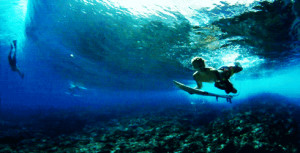 summer surf water underwater sun waves ocean surfing
