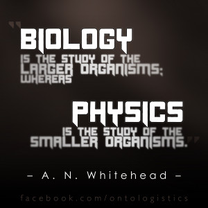 alfred north whitehead process philosophy reality organism iology ...