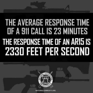 Pro Gun Quotes And Phrases