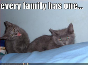 may or may not be adopted