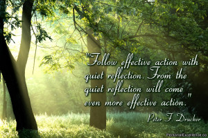 Inspirational Quote: “Follow effective action with quiet reflection ...