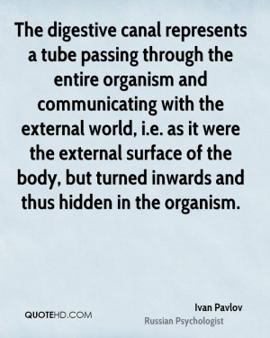 The digestive canal represents a tube passing through the entire ...