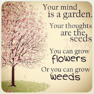 Positive Quote, weeds vs flowers