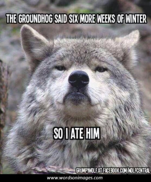 Quotes Sayings Groundhog. QuotesGram