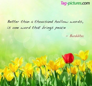 Buddha www.lovehealsus.net
