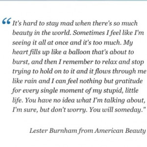American Beauty Quotes American beauty - the ending